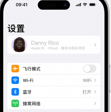 牡丹江appleID维修服务iPhone设置中Apple ID显示为灰色无法使用 