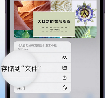 牡丹江apple维修中心分享iPhone文件应用中存储和找到下载文件