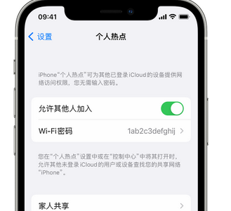 牡丹江apple服务站点分享iPhone上个人热点丢失了怎么办