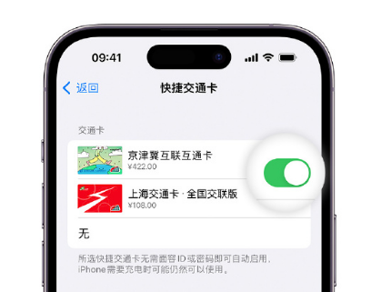 牡丹江apple维修点分享iPhone上更换Apple Pay快捷交通卡手绘卡面 