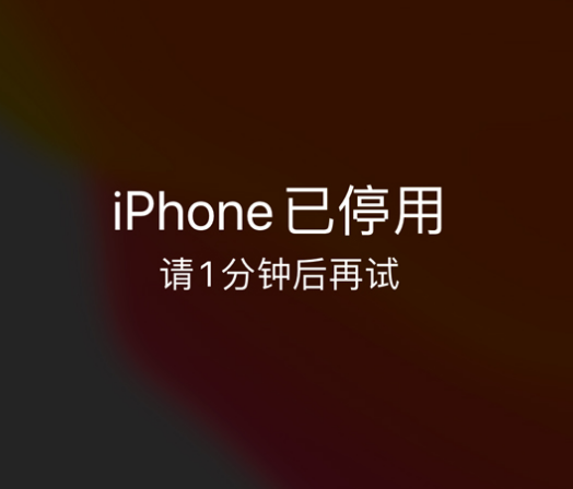 牡丹江苹果手机维修分享:iPhone 显示“不可用”或“已停用”怎么办？还能保留数据吗？ 