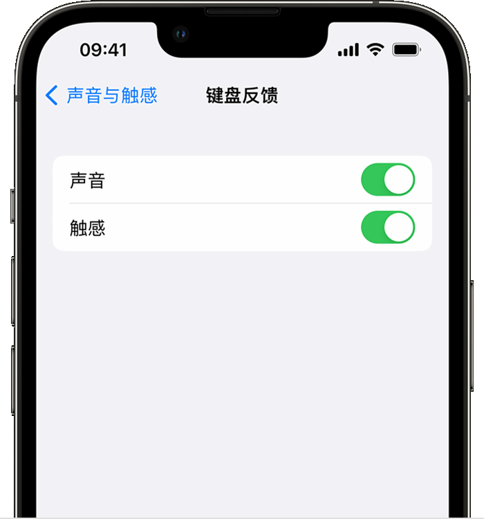 牡丹江苹果14维修店分享如何在 iPhone 14 机型中使用触感键盘 