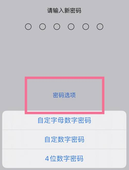 牡丹江苹果14维修分享iPhone 14plus设置密码的方法 