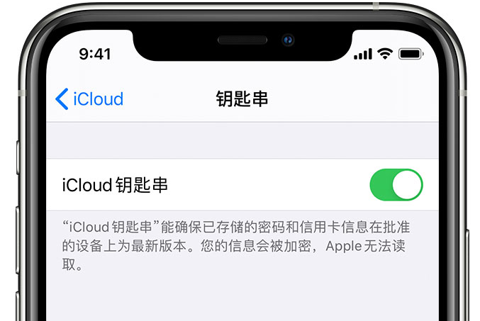 牡丹江苹果手机维修分享在 iPhone 上开启 iCloud 钥匙串之后会储存哪些信息 