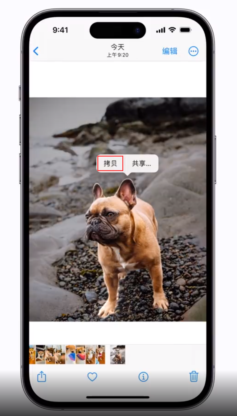 牡丹江苹果手机维修分享 iOS 16 自带一键抠图功能 