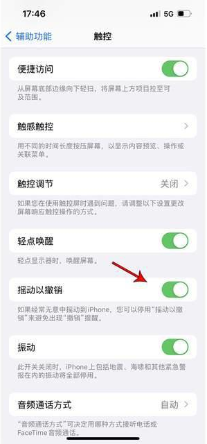 牡丹江苹果手机维修分享iPhone手机如何设置摇一摇删除文字 