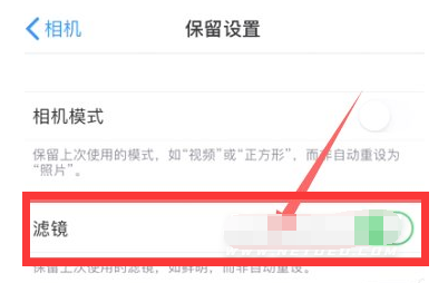 牡丹江苹果13维修分享iPhone13拍照有绿点是怎么回事 