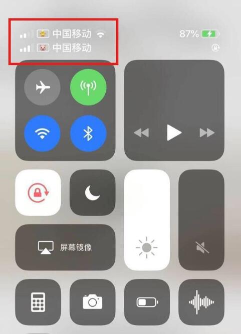 牡丹江苹果手机维修分享为 iPhone 12 双卡设置标签 